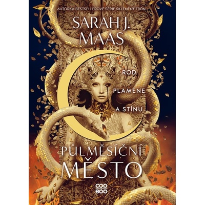 Rod plamene a stínu - Sarah J. Maas