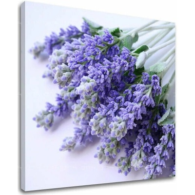 Obraz na stenu KVETY - 30x30