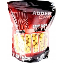 Adder Carp Avid Kukuřice Boilies 20 mm 1 kg