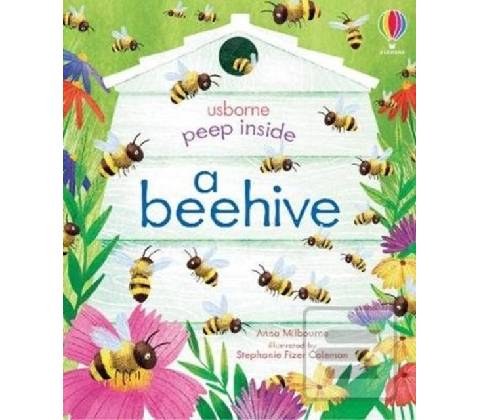 Peep Inside a Beehive