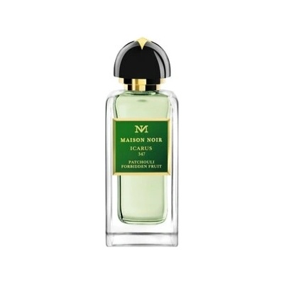 Maison Noir Icarus parfémovaná voda unisex 100 ml