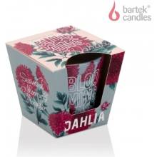 Bartek Candles Booming Season - Dahlia 115 g