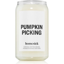 Homesick Pumpkin Picking 390 g