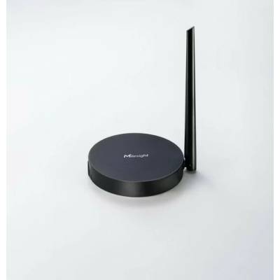 Milesight HL31-L08EU-868M
