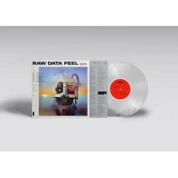 Raw Data Feel - Everything Everything LP