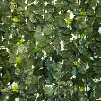 HEDERA ACER, rozmer rolky 1,5x3,0 m