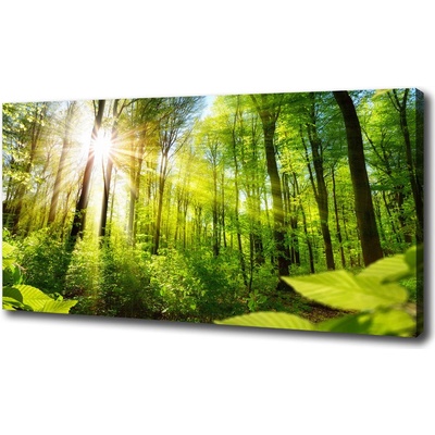 Foto obraz na plátne do obývačky Les slnko 100x50 cm
