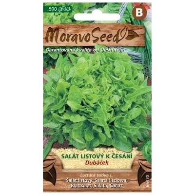 Semínka MoravoSeed Salát listový k česání DUBÁČEK, zelený 66370
