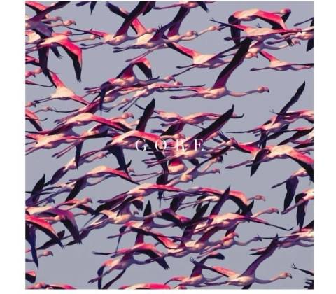 Deftones - Gore LP