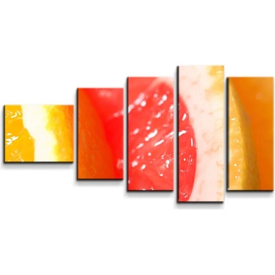 Sablio Obraz - 5-dílný Citrusy - 100x60 cm