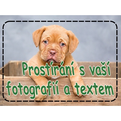 PokojovaDekorace.cz Prostírání s vaší fotografií a textem 43x30cm