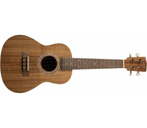Henry`s Instruments HEUKE20A-C01
