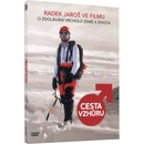 Cesta vzhůru