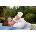Philips Бебешка бутилка Philips Avent Natural Response - Flow, 2 броя SCY906/02 (SCY906/02)