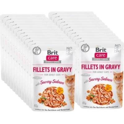 Brit CARE Пакети за котки Филе в сос с ароматен сьомга 24x85г
