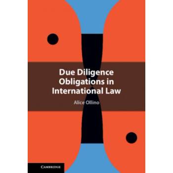 Due Diligence Obligations in International Law