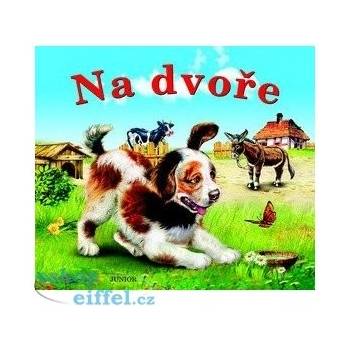 Na dvoře
