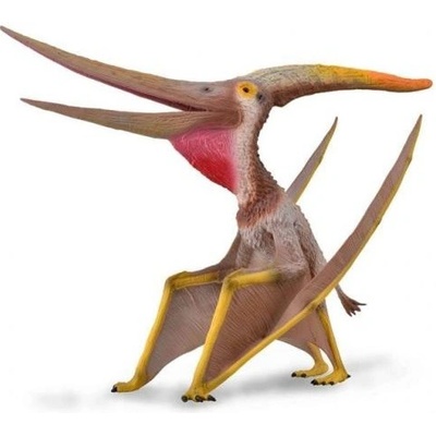 COLLECTA Dinosaurus Petranodon