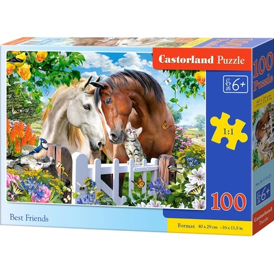 Castorland premium Nejlepší přátelé 111121 100 dílků