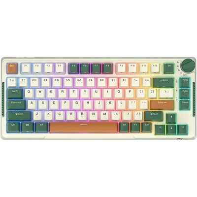 Royal Kludge RKH81 RGB Sky cyan switch green