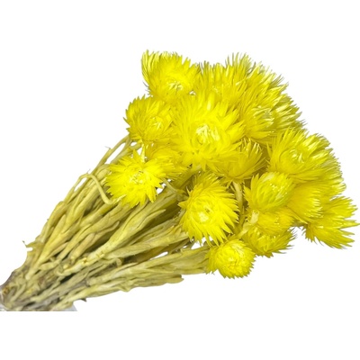 FLOWERIO Sušené kvety slamienky Helichrysum Vestitum 50g - žlté