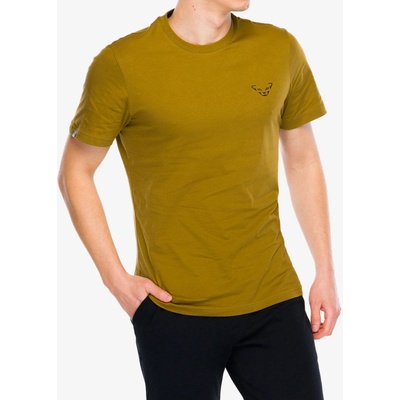 Dynafit Bavlněné tričko 24/7 Graphic T-Shirt relic/striped elevation