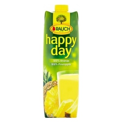 Rauch Happy Day ananas 100% 1l – Zbozi.Blesk.cz