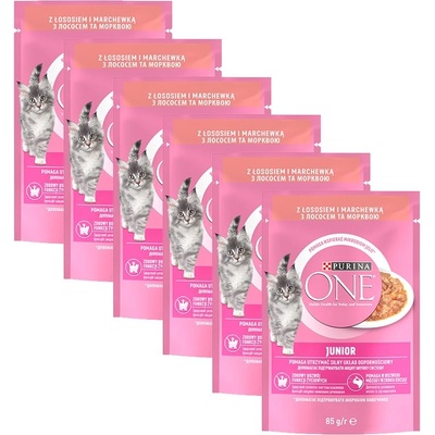 PURINA ONE JUNIOR мини филета с сьомга и моркови в сос 6 x 85 г