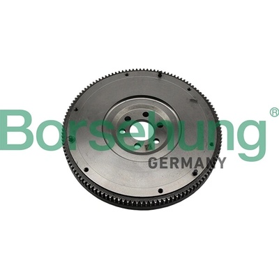 Zotrvačník BORSEHUNG B19211