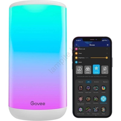 Govee RGBICWW (H6022)