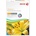 Картон Xerox Colotech+ A4 250л. 200 g/m2 (A4 250)