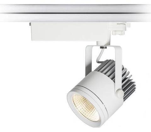 Rendl 10567