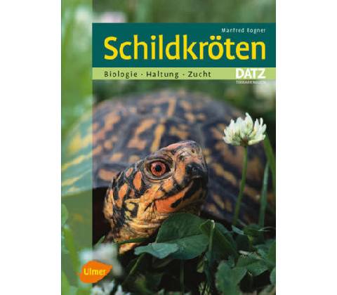 Schildkröten