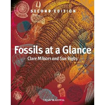 Fossils at a Glance | Clare Milsom
