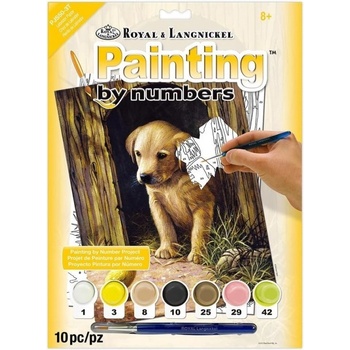 Malování podle čísel Pejsek s kuřátkem