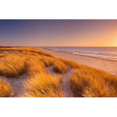 DIMEX ART Флизелинов фототапет високи дюни 375 x 250 см