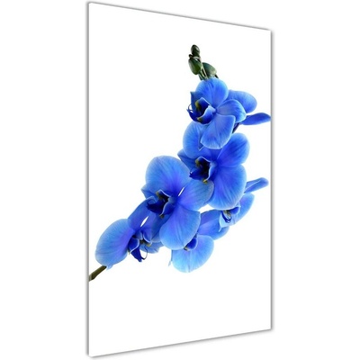 Vertikálny fotoobraz na skle Modrá orchidea 50x100 cm