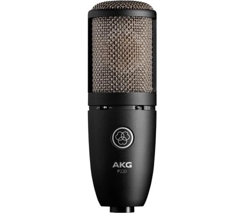 AKG P 220