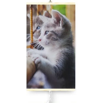 Image 1 of Warmcoin Kittens