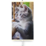 Warmcoin Kittens
