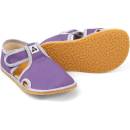 Antal Rascal Basic Purple
