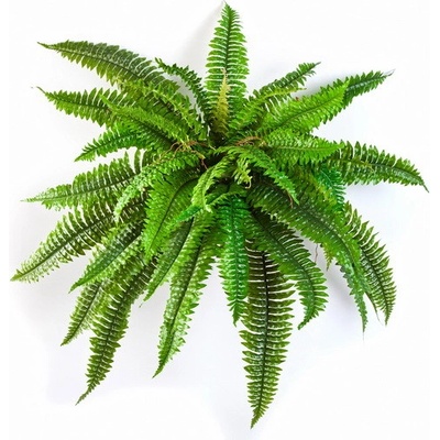Umělá rostlina Bostonské kapradí DELUXE, 80cm