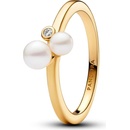 Pandora 163156C01