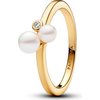 Pandora 163156C01