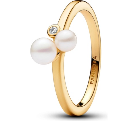Pandora 163156C01
