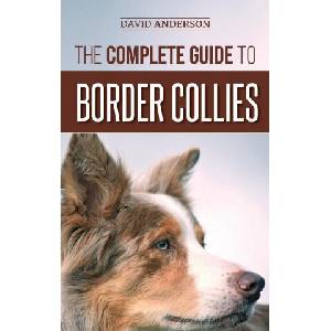 Complete Guide to Border Collies | David Anderson (ISBN: 9781952069598)
