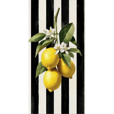 Takoy Panel na ušití rychleschnoucí osušky 80x160 citron v kuchyni 2