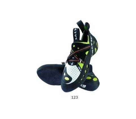 SALTIC AVAX