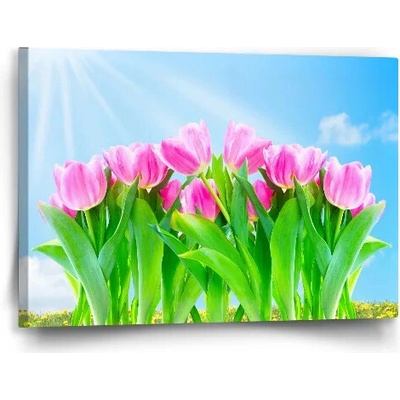 Sablio Obraz Ružové Tulipány - 60x40 cm