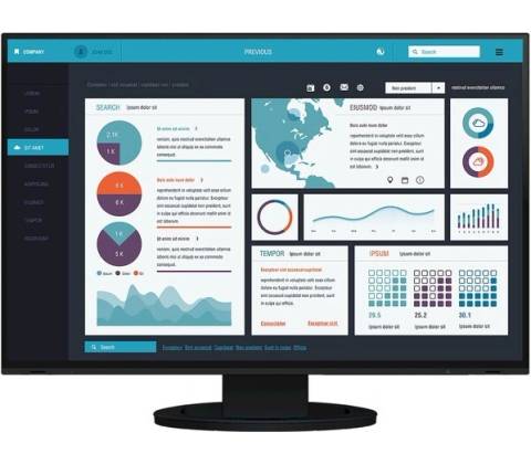 Eizo EV2495-BK